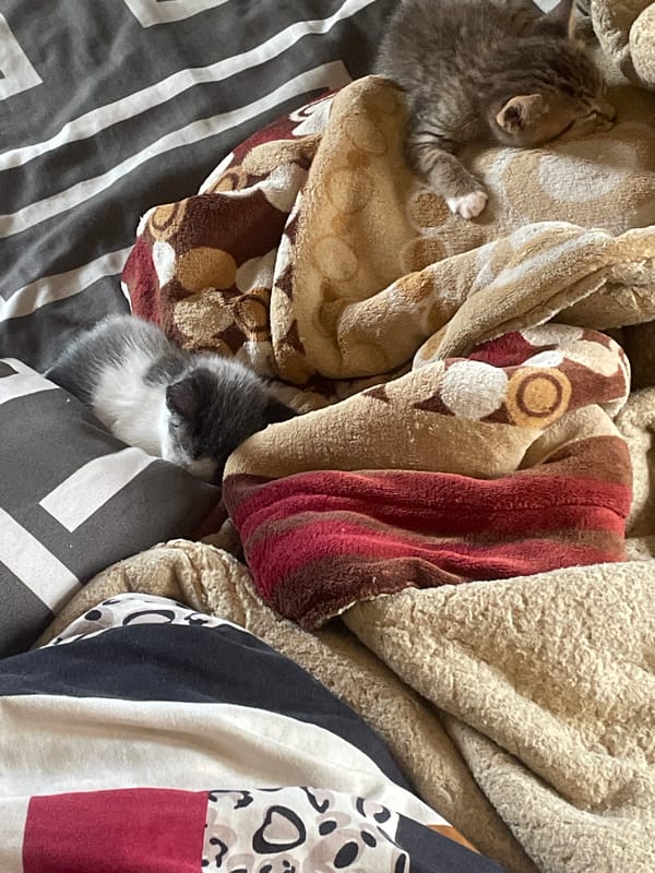 Quiet Sunday morning moments documented across Jos, Nigeria