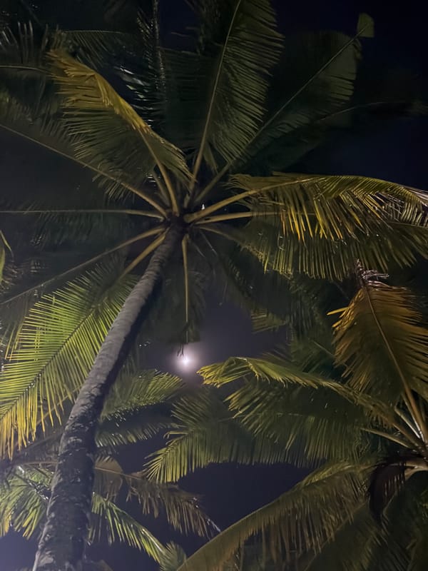 Dusk to dark on a Choeng Thale beach