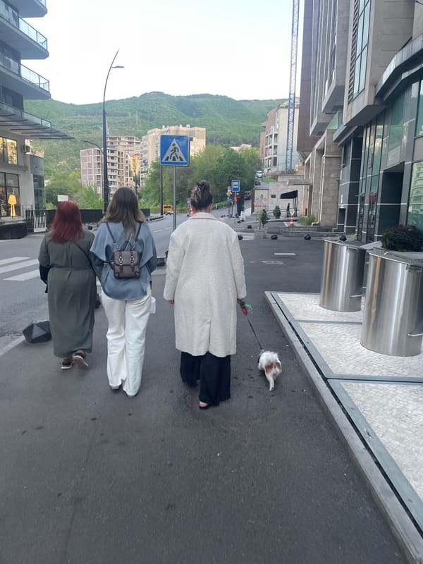 Ordinary afternoon moments documented across Tbilisi neighborhoods