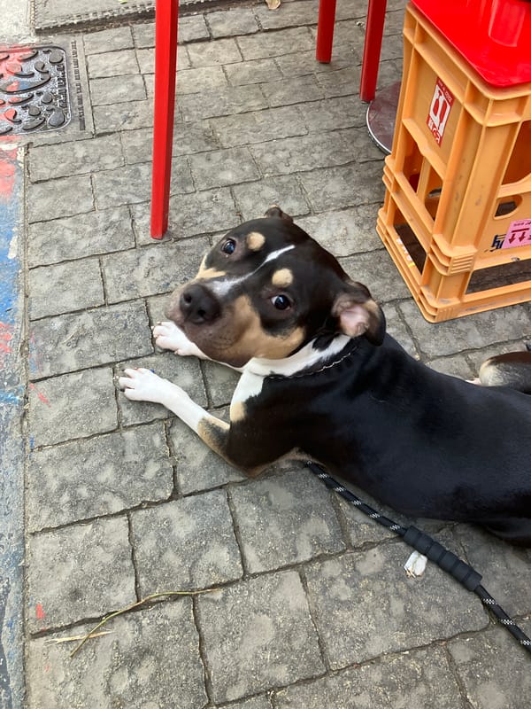 Casual Sunday afternoon moments documented across Tel Aviv streets