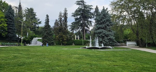 White peacock displays tail feathers in Sandanski park