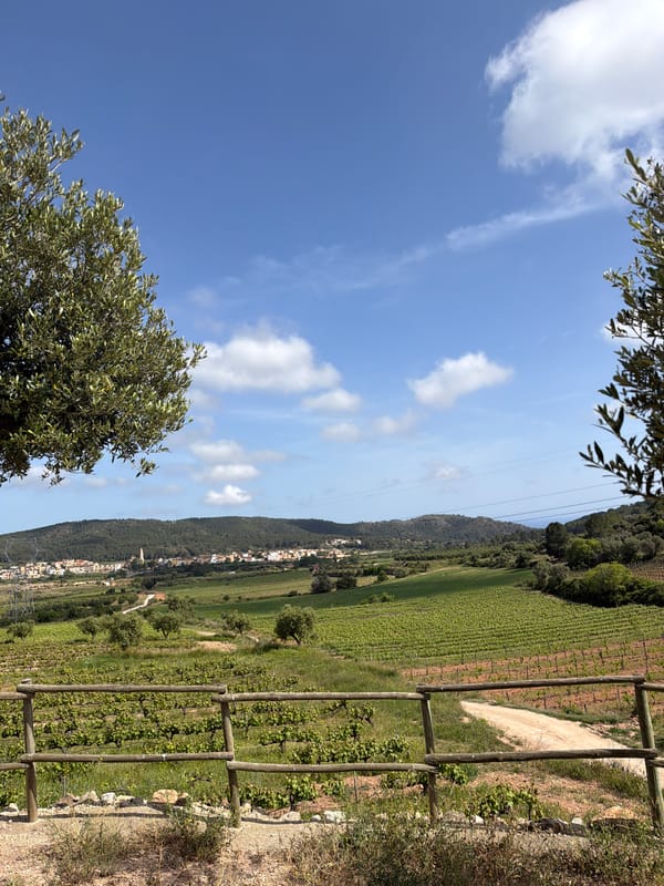 Rural food and wine gathering documented in Bonastre, Spain