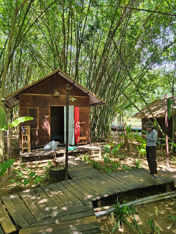 Family explores Đà Nẵng's bamboo forests and natural pools