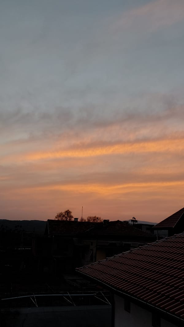 Sunset and stork nest activity observed in urban area
