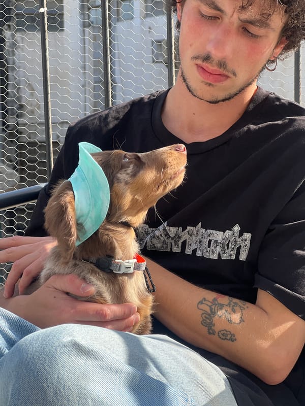 Tel-Aviv resident documents puppy, tech gear in afternoon sessions
