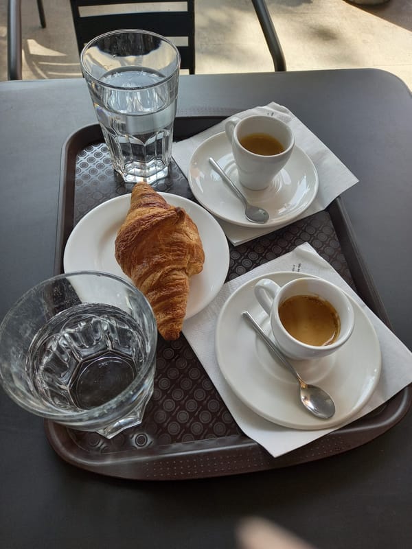 Morning cafe scenes with dog companion in Yekaterinburg