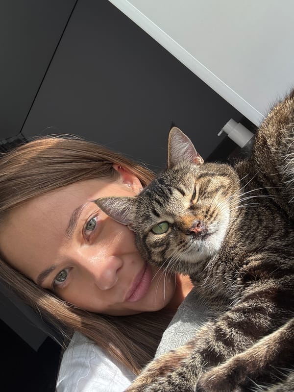Lazy afternoon with a tabby cat in Chernushka