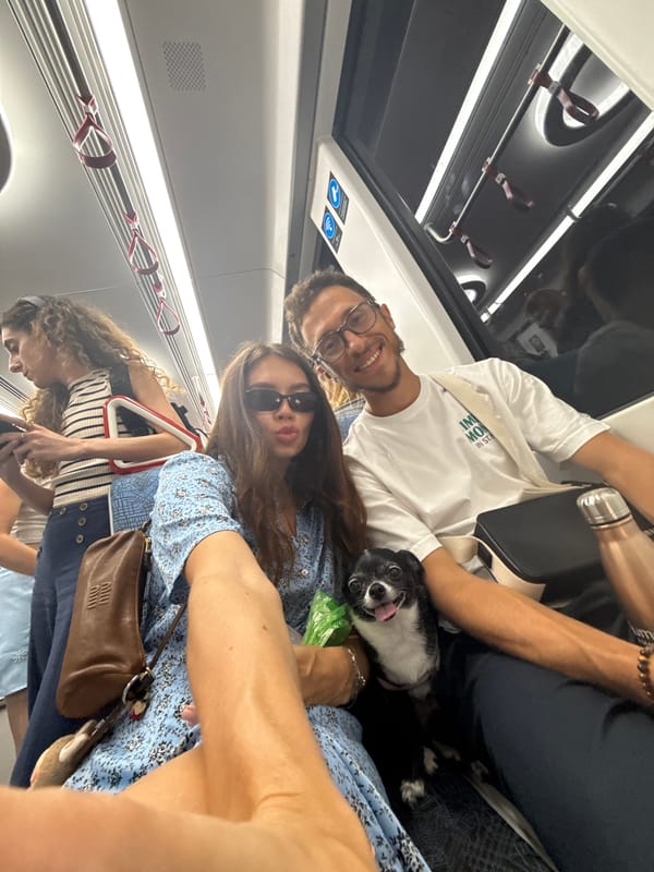 Afternoon train ride in Tel Aviv with a small dog