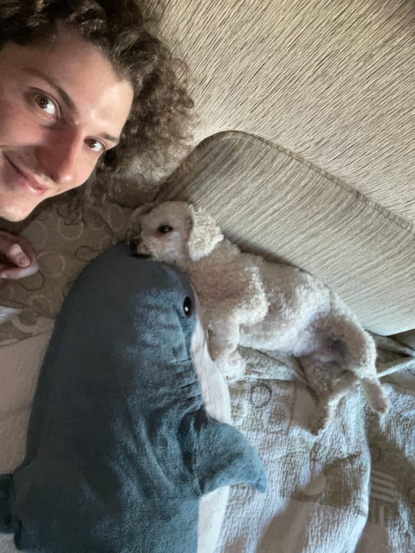 Drummer and white poodle share quiet afternoon in Yekaterinburg