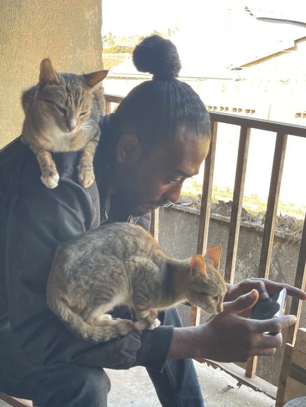 Daily Life Unfolds on Jos Streets During Morning Hours