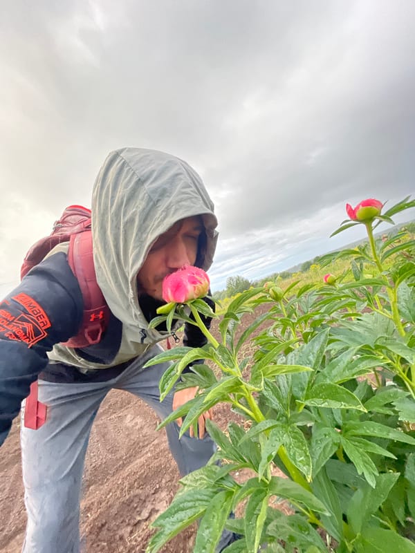 Man tends garden during afternoon rainfall near Orthodox church
