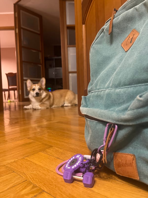 Blue Woodsurf backpack spotted on wooden floor in Novosibirsk