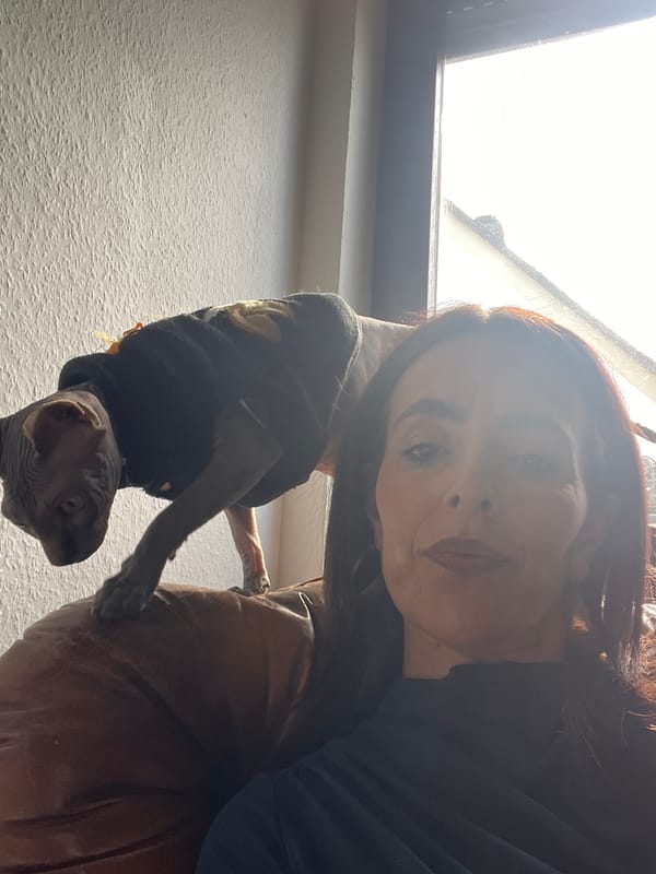 Woman enjoys quiet afternoon at home with Sphynx cat