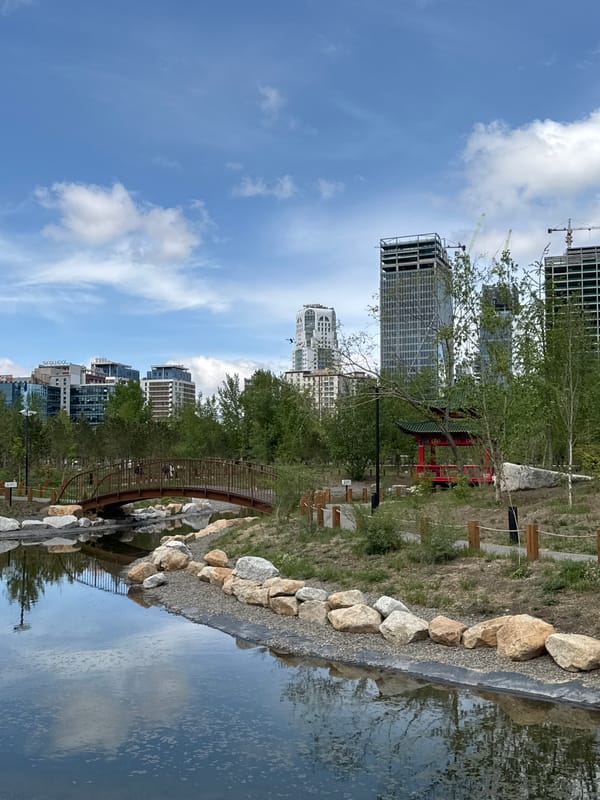 Morning scenes from Ulaanbaatar park captured by witness