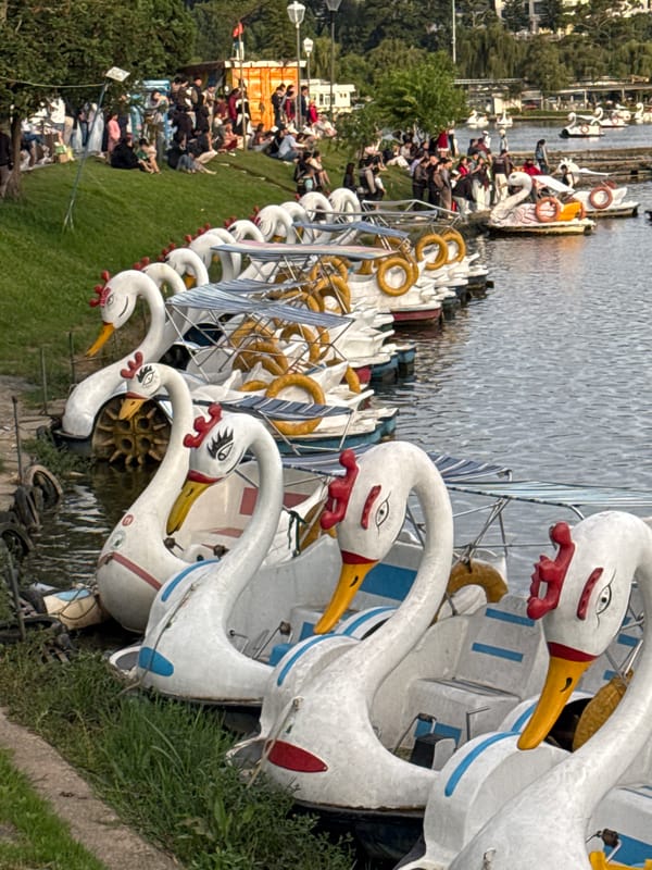 Live music and lakeside activity at Da Lat's Xuan Huong Lake