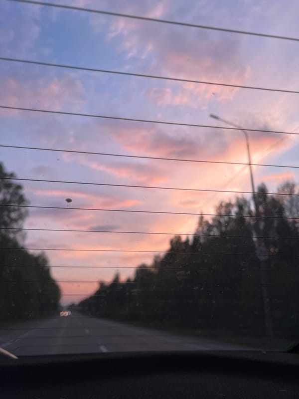Motorist captures pink-blue sunset sky in rural Russia