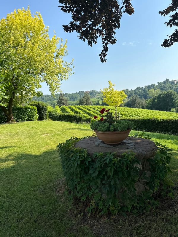 A well-kept Conegliano garden and pool property in summer