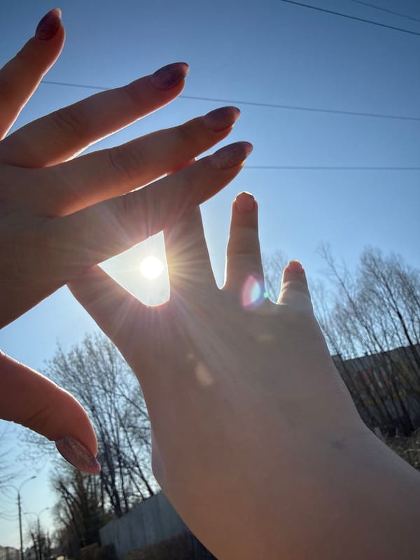 Nature photography moments captured in bright sunlight in Dmitrov