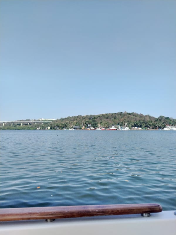 Early morning boat trip documented on Mandovi River, Panaji