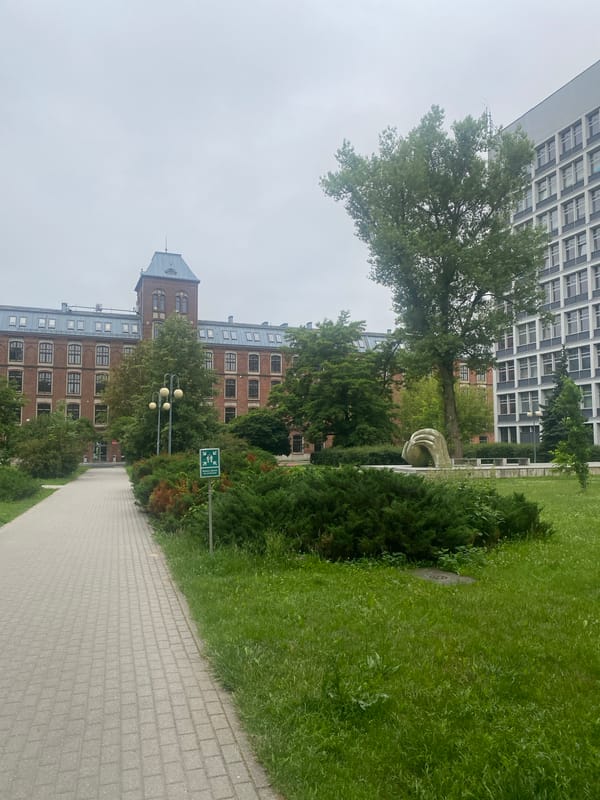 Łódź park and plaza scenes on a quiet overcast morning