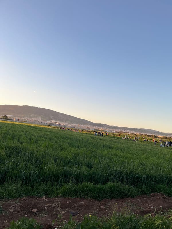People gather in green field overlooking Fez cityscape