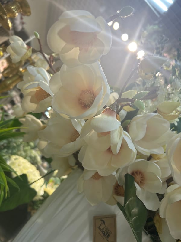 Flowers and houseplants at a Moscow shop, up close