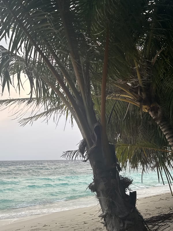Beach scene captured in Ukulhas, Maldives showing tropical coastline