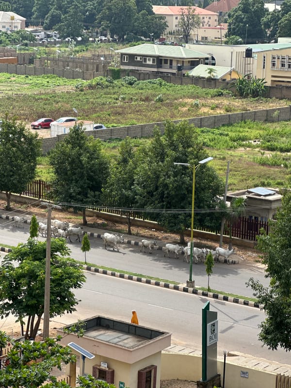 Street life, buildings, and open land in Shaba, Nigeria