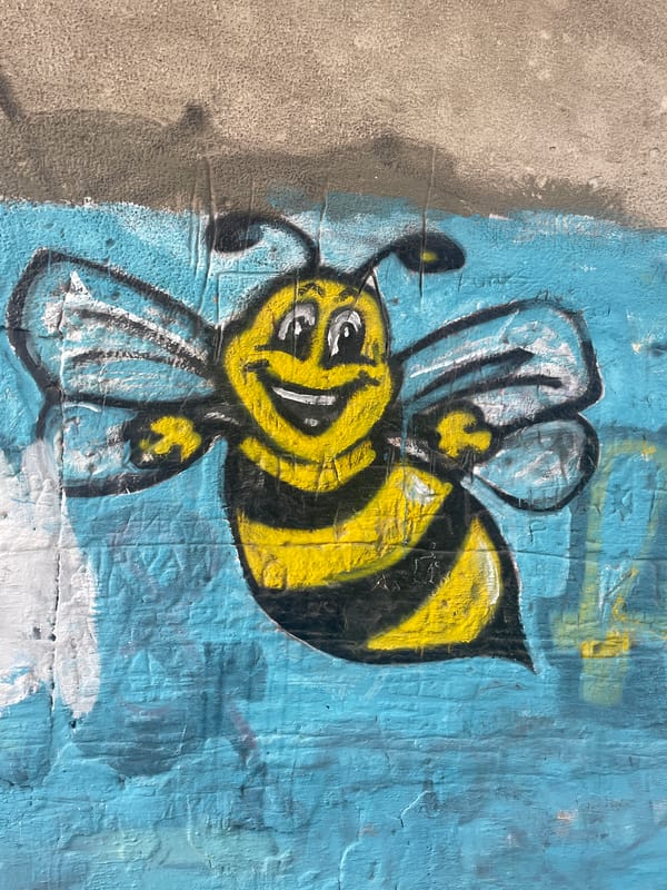 Urban scenes documented in Brest: street art, playground, bike rack