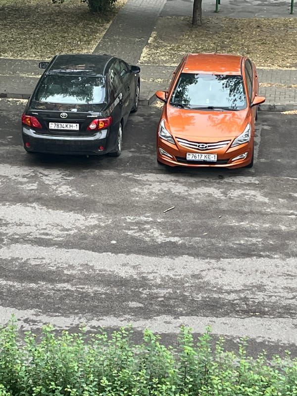 Witness documents cars, coral displays, miniature castle in 10-minute span