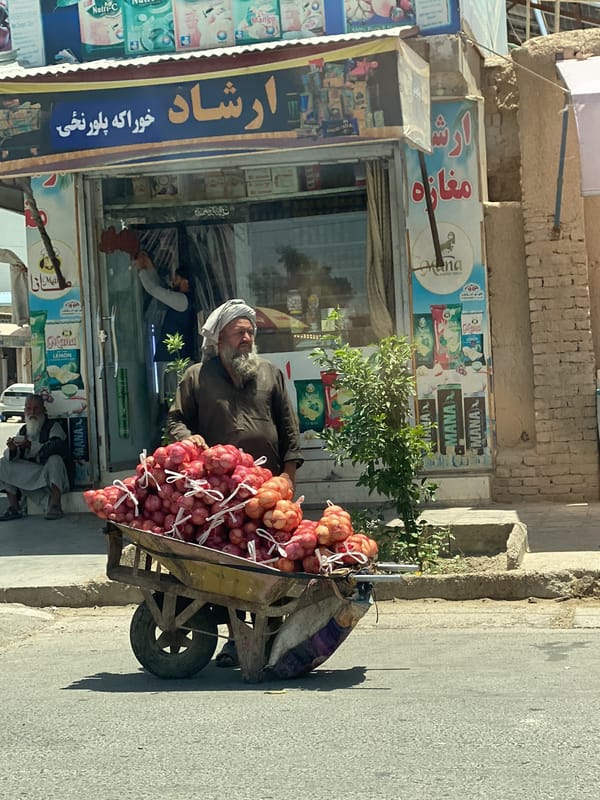 Kandahar street vendors transport produce during morning market activity
