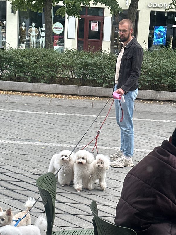 Afternoon foot traffic on a Kaunas pedestrian street