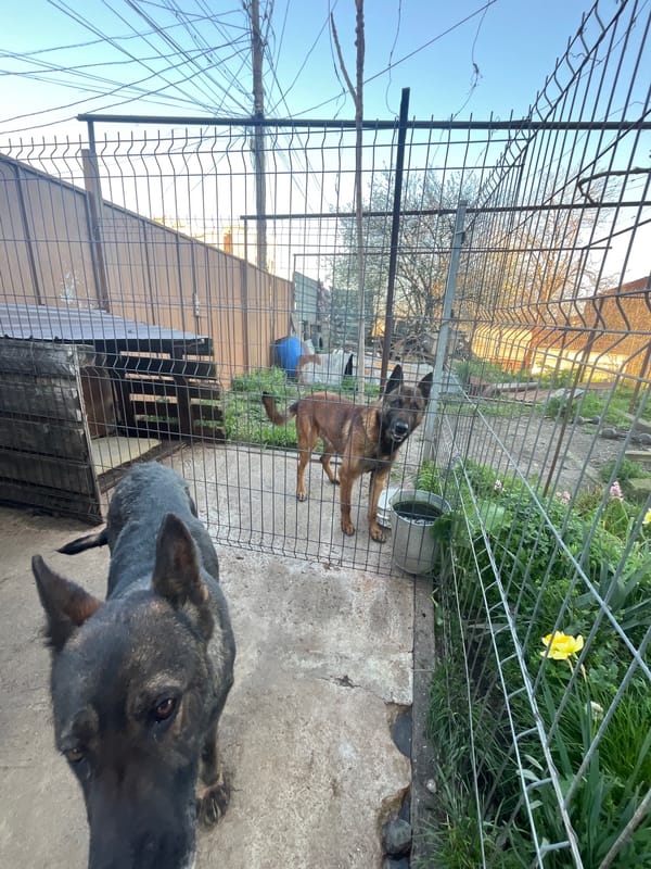 Tattooed person in Nike sneakers spotted on Burgas street
