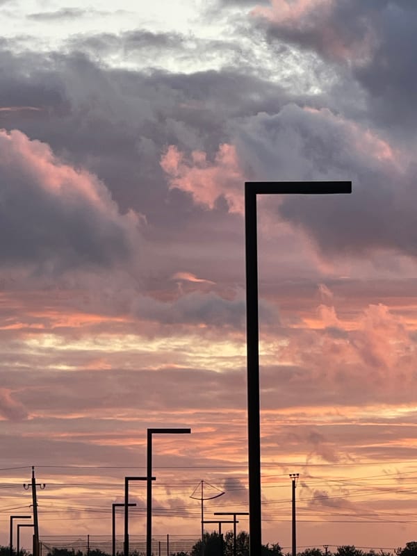Summer evening in Zelenogradsk — streets, wildflowers, and a vivid sunset