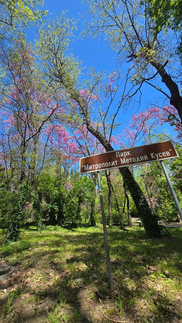 Spring morning scenes documented across Stara Zagora, Bulgaria