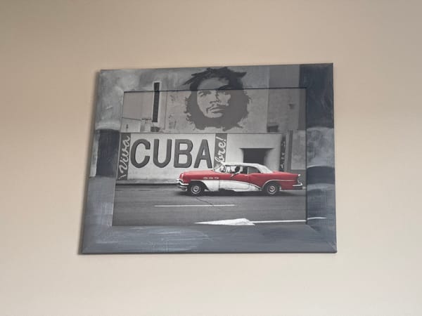 Kitten plays on bed in Łódź apartment