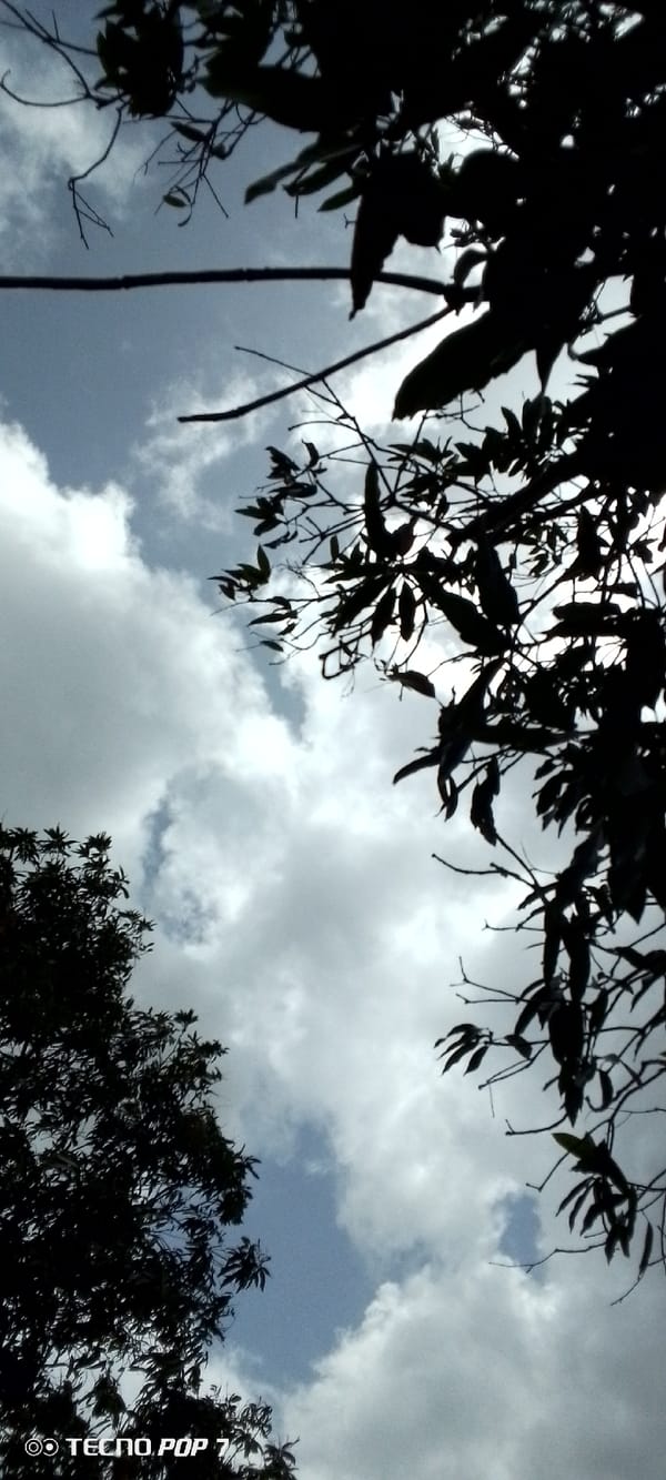 Venezuelan witness documents afternoon sky conditions in Altagracia
