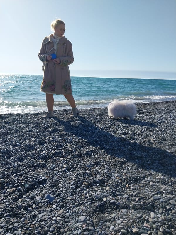 Sunny afternoon leisure scenes documented along Sochi waterfront