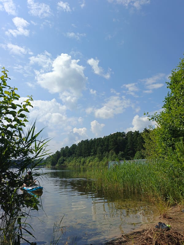 Lazy summer lake day in rural Russia, dogs and paddleboards included