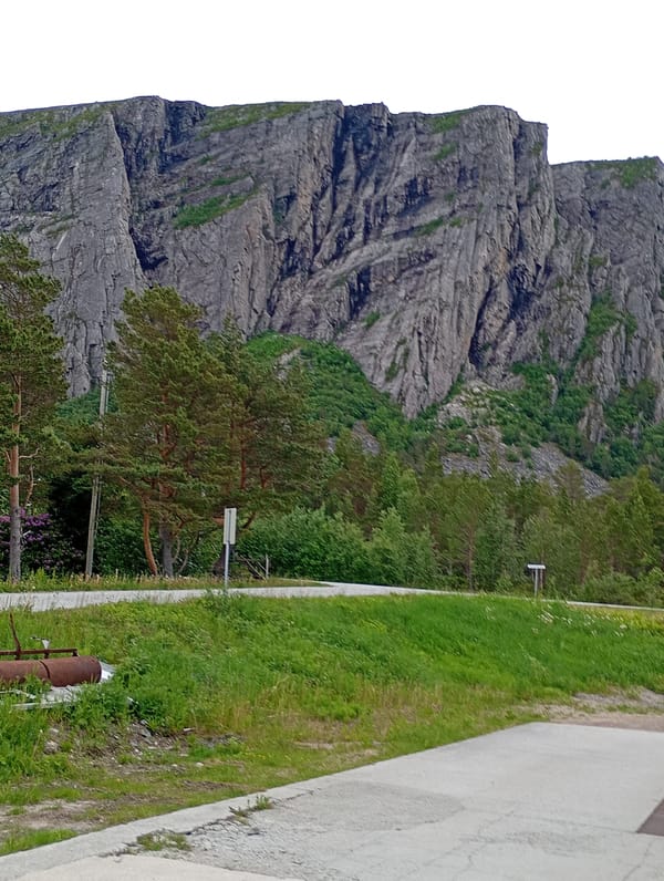 Witness Documents Mountain Journey Through Blooming Countryside Landscapes