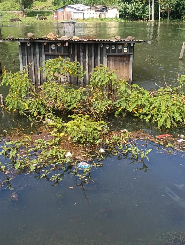 Flooding documented in Maua ward, Kenya affects local structures