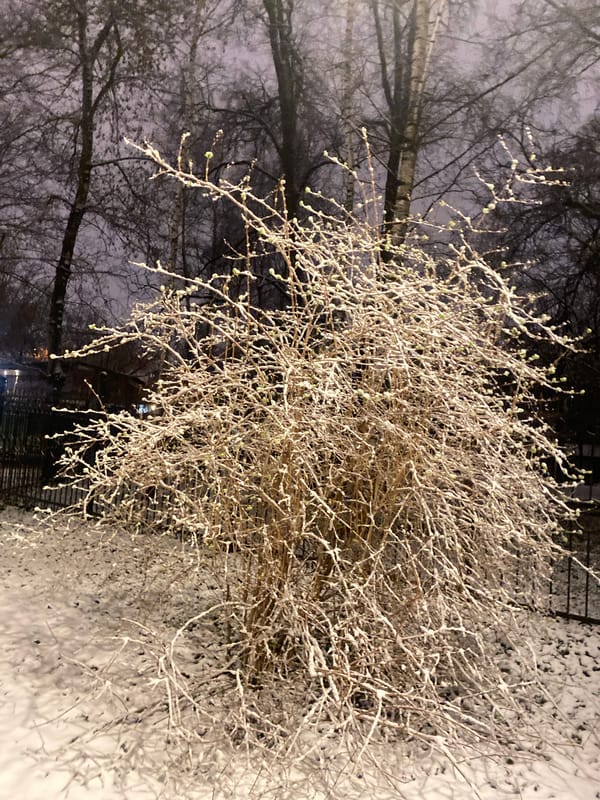 Snow blankets Moscow park during evening hours