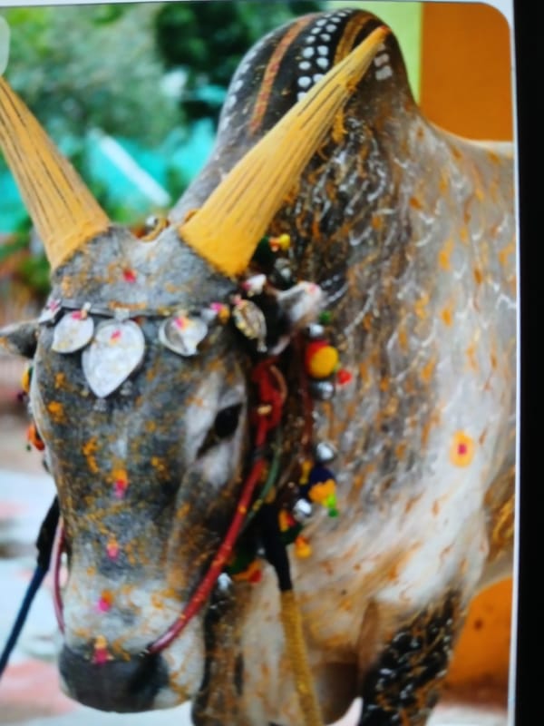 Hindu religious artifacts and ritual imagery documented in Bengaluru