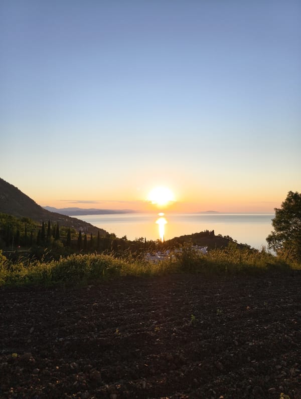 Sunrise documented over Ukrainian farmland in Chaika
