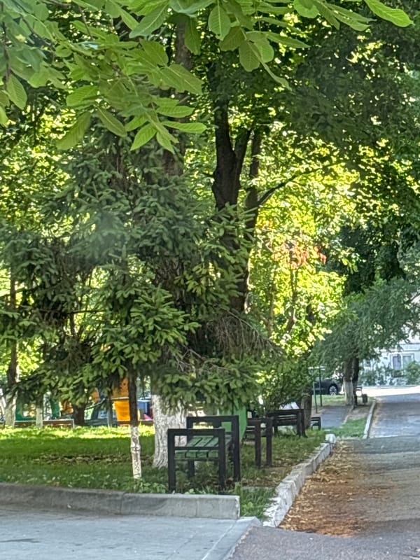 Morning drive through quiet Chișinău streets and parks