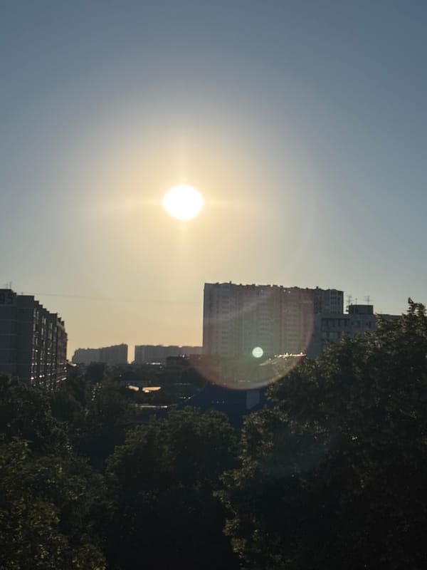 Sunny afternoon across Krasnodar's streets and parks