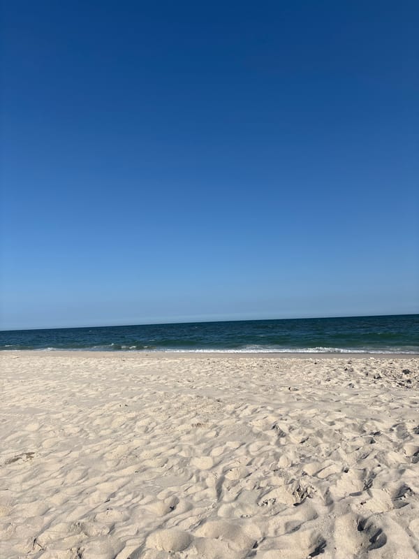 Lazy beach afternoon with pigeons, blankets, and calm waves