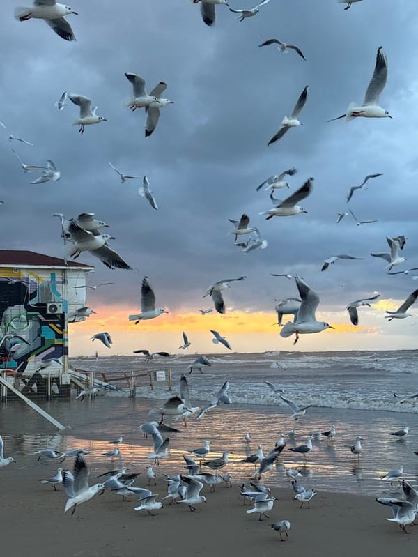 Evening beach life captured along Tel Aviv coastline
