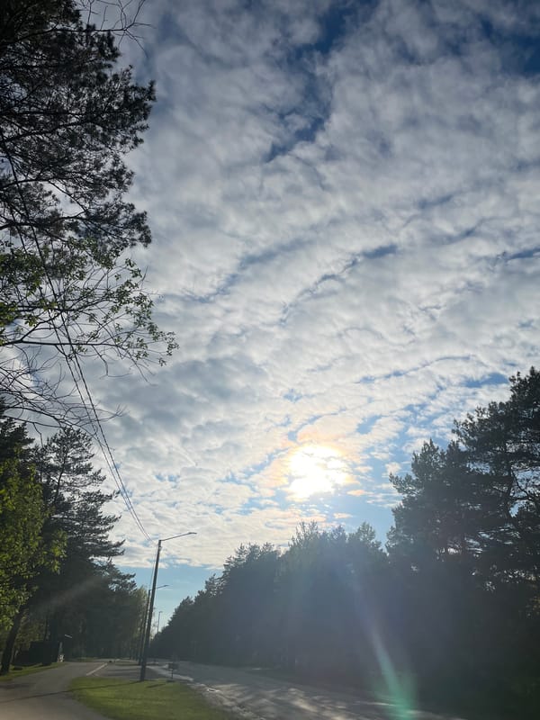 Sky-gazing moments captured across Tallinn during afternoon hours