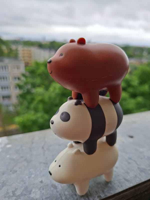 Tallinn resident documents decorative objects and city views